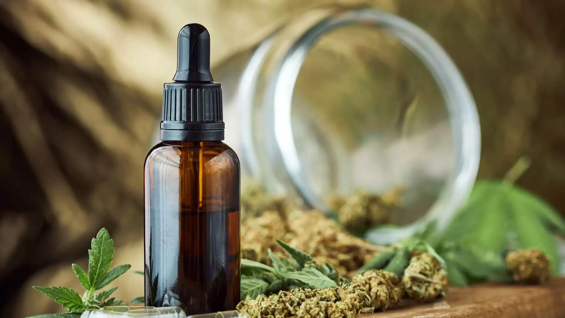 The Benefits of CBD For Soft And Moisturizing Hands (1)