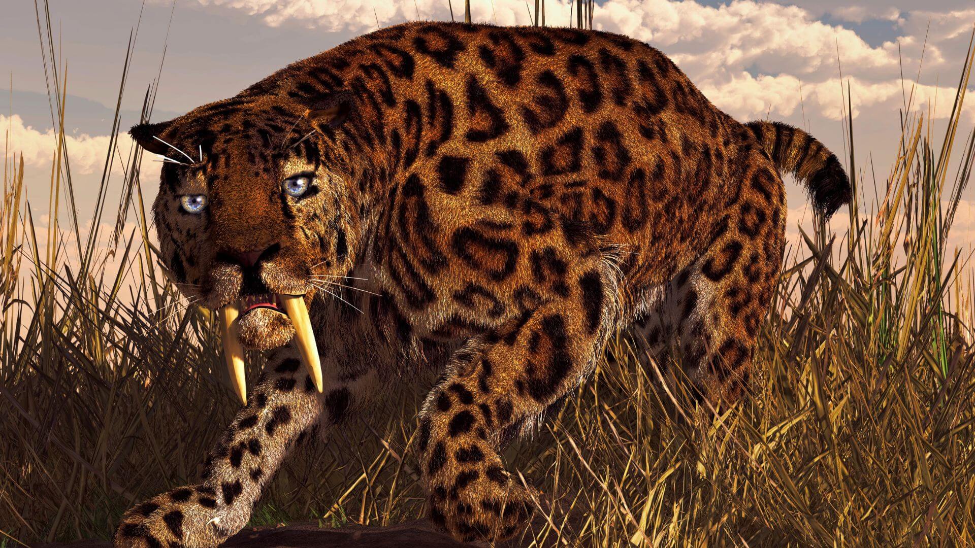 This Saber-Toothed Cat Was The First Hypercarnivore (1)